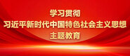 性感美女被操逼学习贯彻习近平新时代中国特色社会主义思想主题教育_fororder_ad-371X160(2)